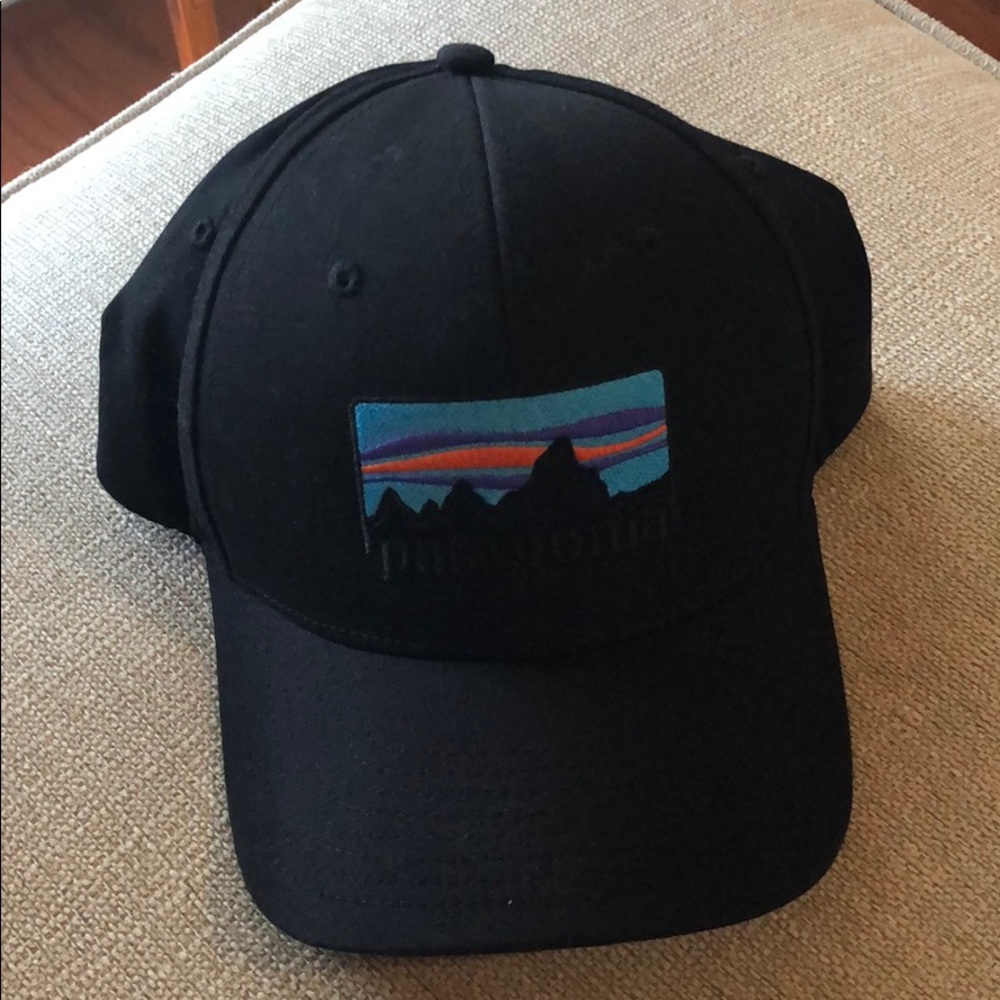 Patagonia Classic Mountain logo hat